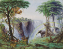 Victoria Falls of the Zambesi River